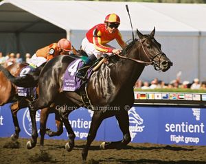 Midnight Lute Art Print - 2008 Breeder's Cup Winning Horse