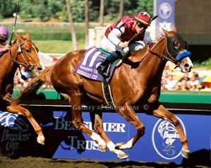 Midshipman Art Print - Breeder's Cup Winning Horse