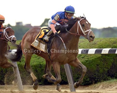 Mo Donegal Wins The 2022 Belmont - Framed & Unframed Photos