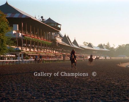 Morning Glory -- Saratoga Race Course