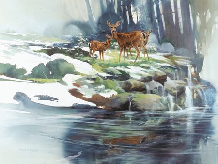 Morten E. Solberg - Gentle Waters - Limited Edition