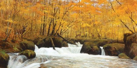 Morten E. Solberg - Golden Autumn - Limited Edition Giclee