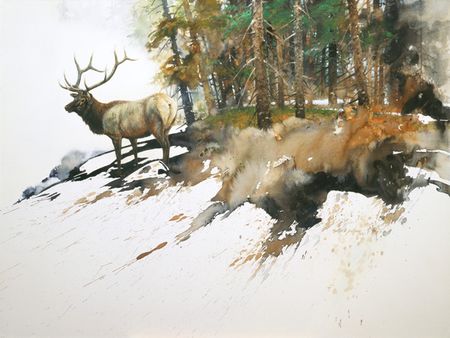 Morten Solberg - High Country Elk - Limited Edition Giclee