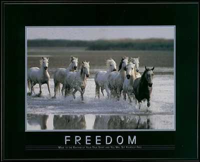 Motivational - Freedom, Move To The Rhythm UNAVAILABLE