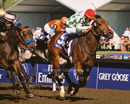 Muhannak Art Print - 2008 Breeder's Cup Winning Horse