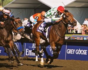 Muhannak Art Print - 2008 Breeder's Cup Winning Horse