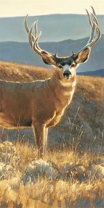 Nancy Glazier - A Moment In Time - Detail - Close Up of Buck