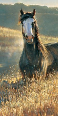 Nancy Glazier - Amazing Grays III - Detail - Close Up of Horse