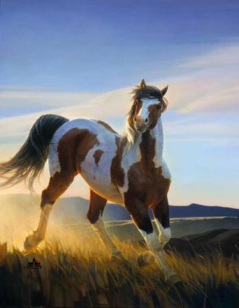 Nancy Glazier - Audacious UNAVAILABLE
