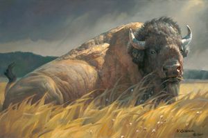Nancy Glazier - Big Boss - Bison Print