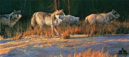 Nancy Glazier - Border Patrol - Limited Edition Coyote Art