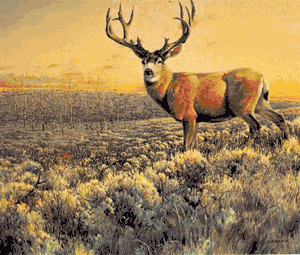 Nancy Glazier - Crown Prince Deer UNAVAILABLE