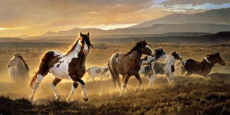 Nancy Glazier - Domino - Limited Edition Horse Art