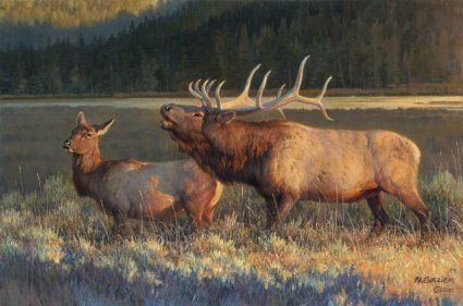 Nancy Glazier - Evening Light - New! - Limited Edition Elk Art