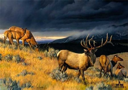 Nancy Glazier - Farewell To Fall II - Limited Edition Elk Art