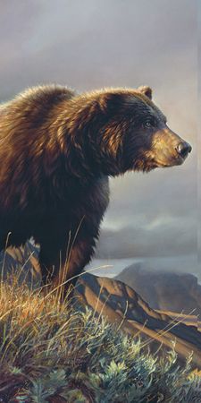 Nancy Glazier - Fresh Air - Detail - Bear Print