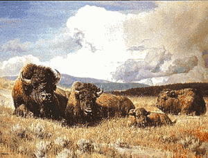 Nancy Glazier - Heritage - Limited Edition Buffalo Print