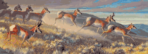 Nancy Glazier - Hi Notes - NEW! – Limited Edition Antelope Art