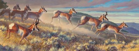 Nancy Glazier - Hi Notes - NEW! – Limited Edition Antelope Art