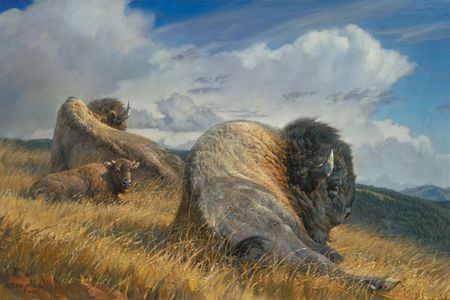 Nancy Glazier - High Ground - Bison Print