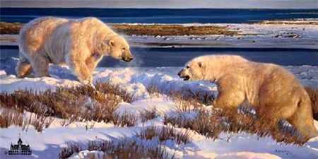 Nancy Glazier - Hudson Heavyweights - Polar Bear Art