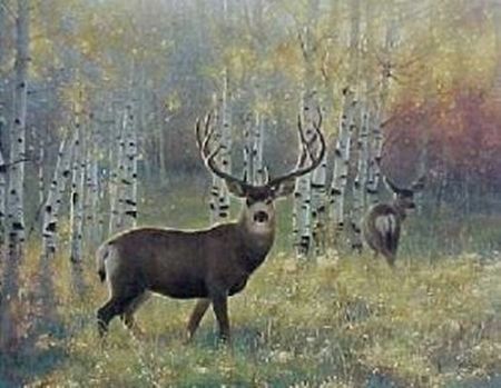 Nancy Glazier - Morning Glory Muledeer UNAVAILABLE