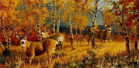 Nancy Glazier - Morning Gold - Limited Edition Elk Canvas