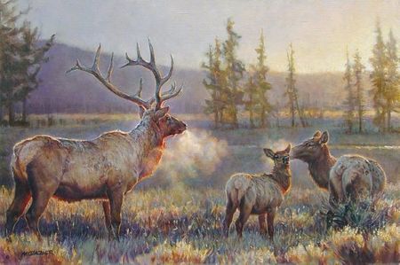 Nancy Glazier - Morning - Limited Edition Elk Print