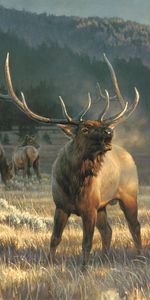 Nancy Glazier - Rocky Mountain Meadow - Detail