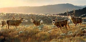 Nancy Glazier - The Gathering Place - Limited Edition Elk Art