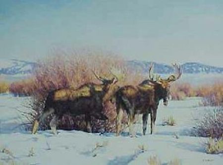 Nancy Glazier - Winter Table Moose - Limited Edition Moose Art UNAVAILABLE
