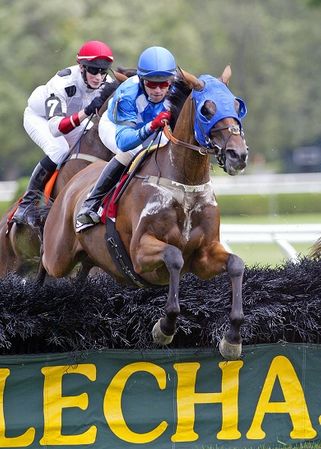New York Turf Writers Steeplechase Race at Saratoga