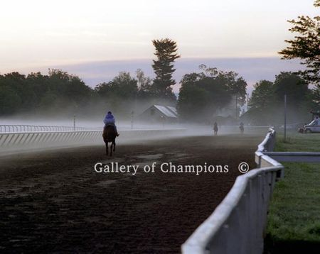 Oklahoma Morning -- Saratoga Race Course