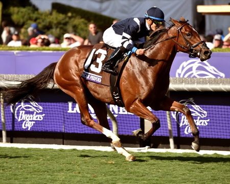 Oscar Performance - 2016 Breeders Cup - Framed/Unframed Photos