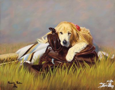 Pamela Parker - I Should Have Been a Cowboy UNAVAILABLE