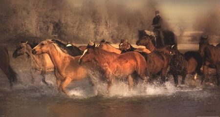 Patricia Leigh - River Crossing - Horse Print