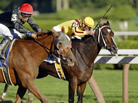 Persistently Upsets Rachel Alexandra - 2010 Personal Ensign - Saratoga