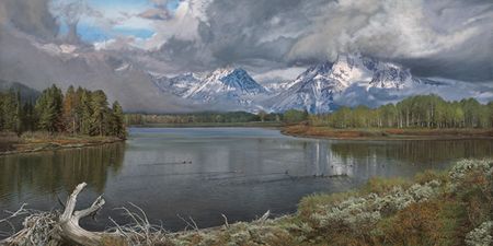 Phillip Philbeck - Driftwood -The Oxbow Bend UNAVAILABLE