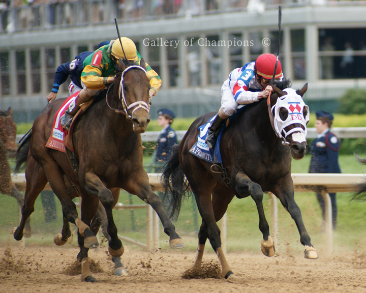 Picture of Race Horse Aikenite Winning 2011 Churchill Downs Handicap