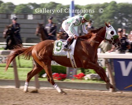 Point Given in the 2001 Belmont Stakes