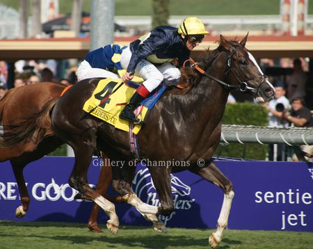 Pounced - 2009 Breeder's Cup Winning Horse Photo