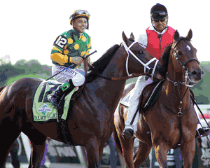 Racehorse Palace Malice - 2013 Belmont - Post Race