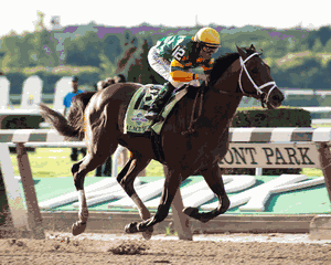 Racehorse Palace Malice in the 2013 Belmont - Finish