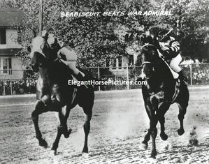 Seabiscuit Pictures - Seabiscuit Art Prints