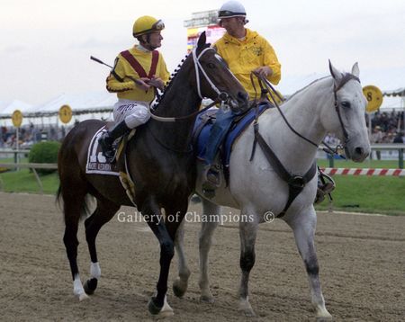 Rachel Alexandra in the 2009 Preakness Stakes Post Parade