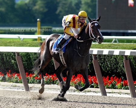 Rachel Alexandra Winning 2009 Mother Goose Stakes Easily