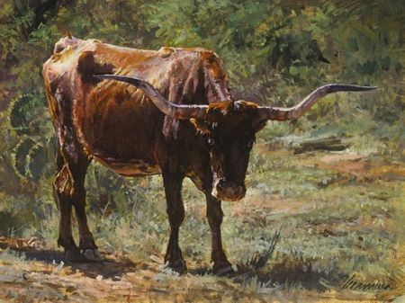 Ragan Gennusa - Survivor - Longhorn Cattle Limited Edition