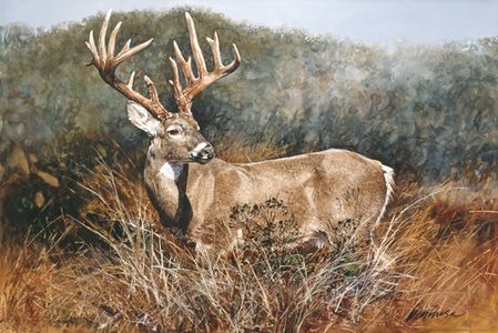 Ragan Gennusa - Texas Heritage - Limited Edition