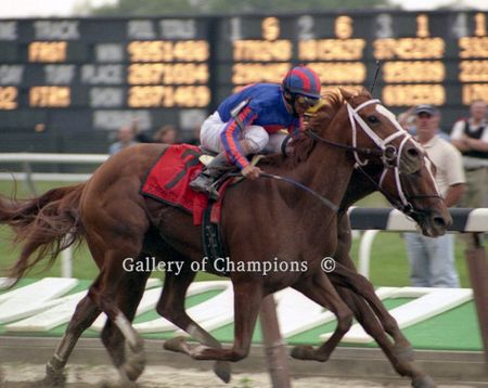 Rags To Riches Defeats Curlin in the 2007 Belmont