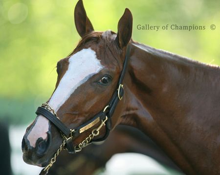 Rags to Riches Portrait